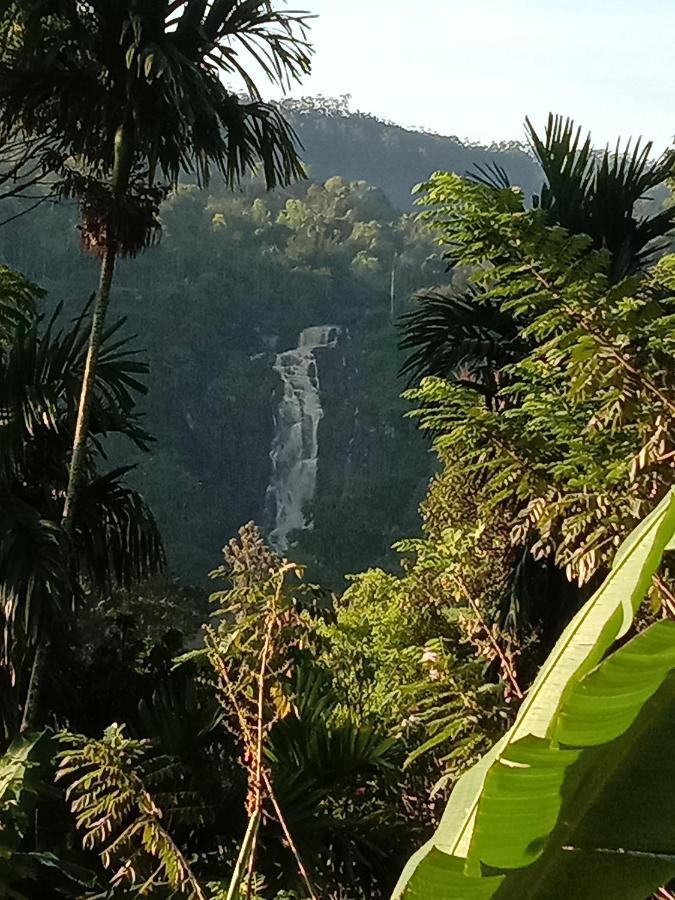 إيلا Charming View Homestay المظهر الخارجي الصورة