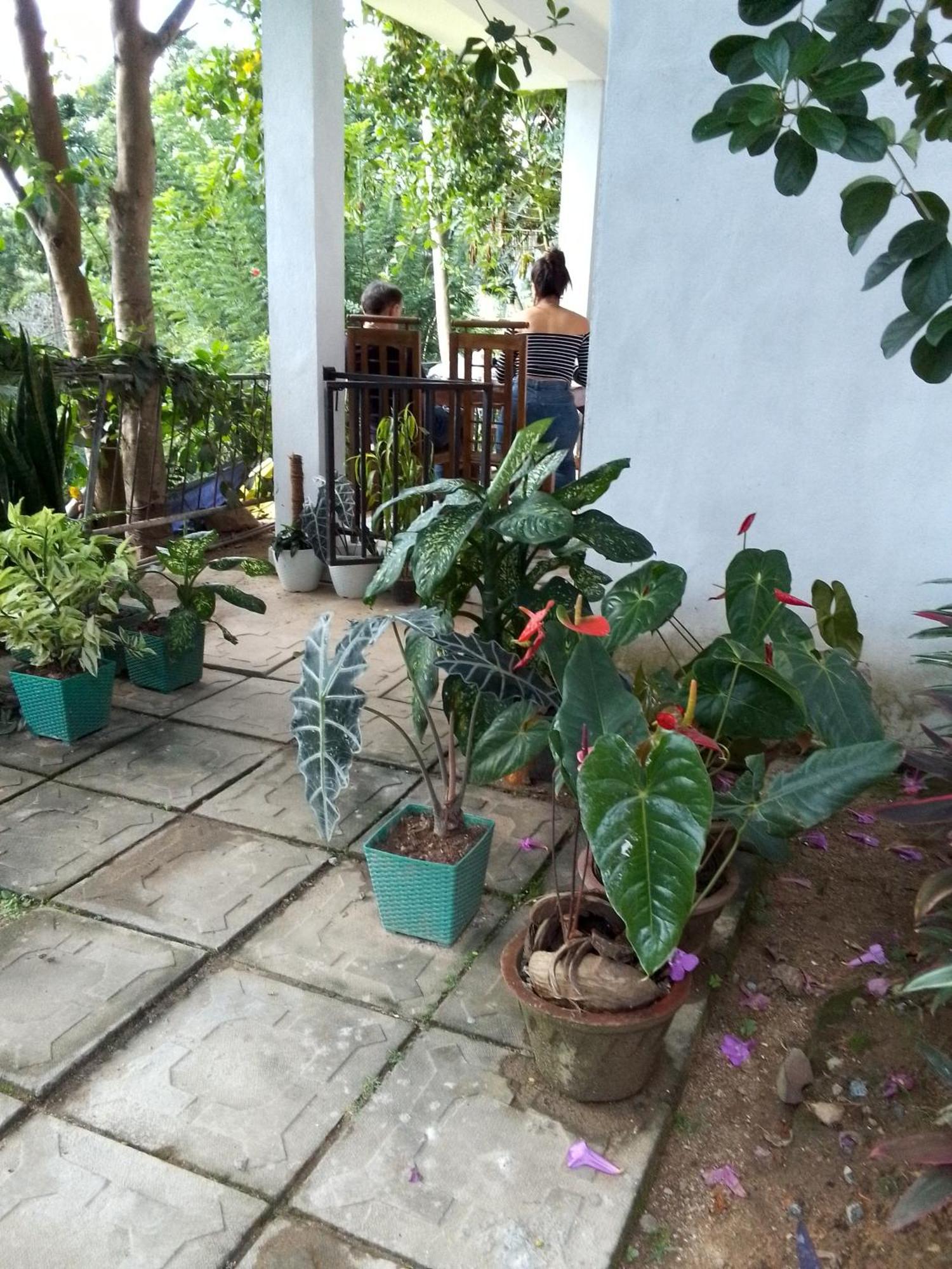 إيلا Charming View Homestay الغرفة الصورة